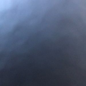 Meet your Posher, Pat